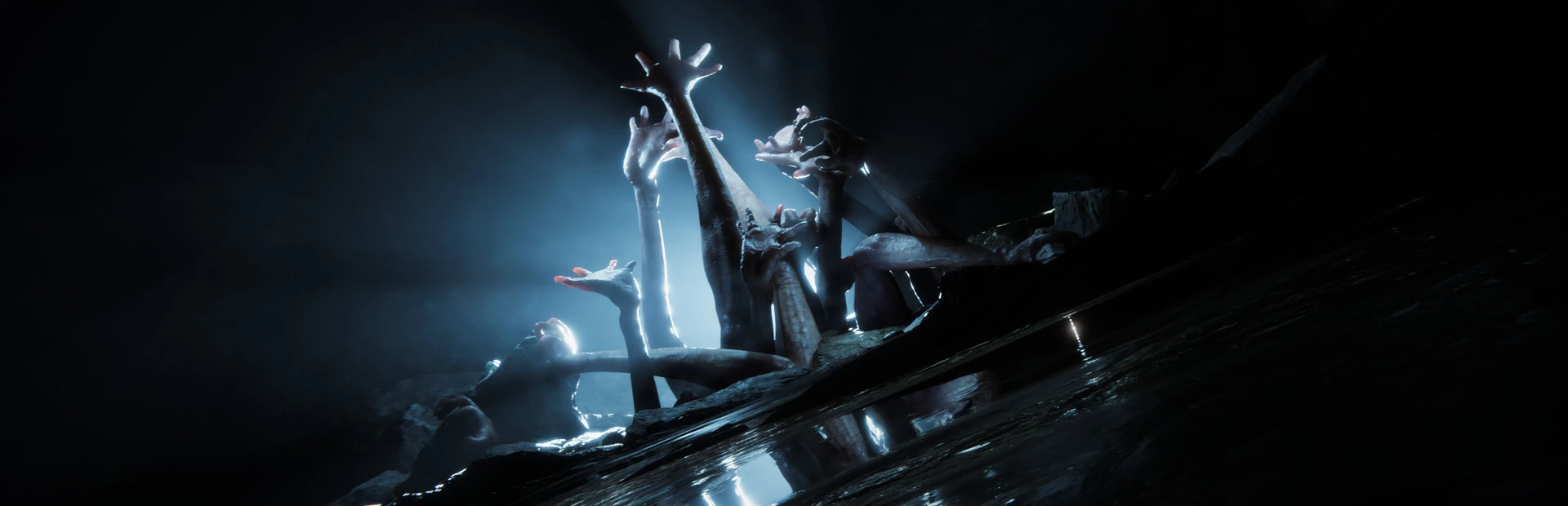 Sons of the Forest background