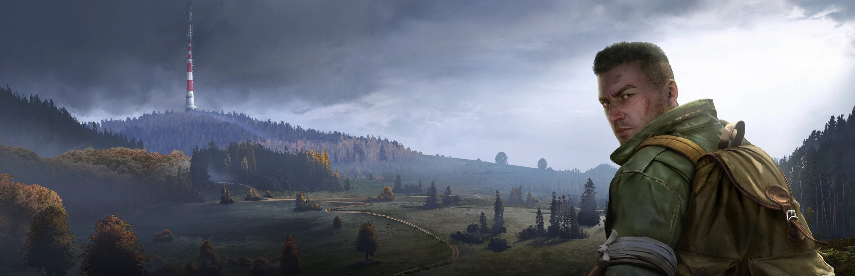 DayZ background