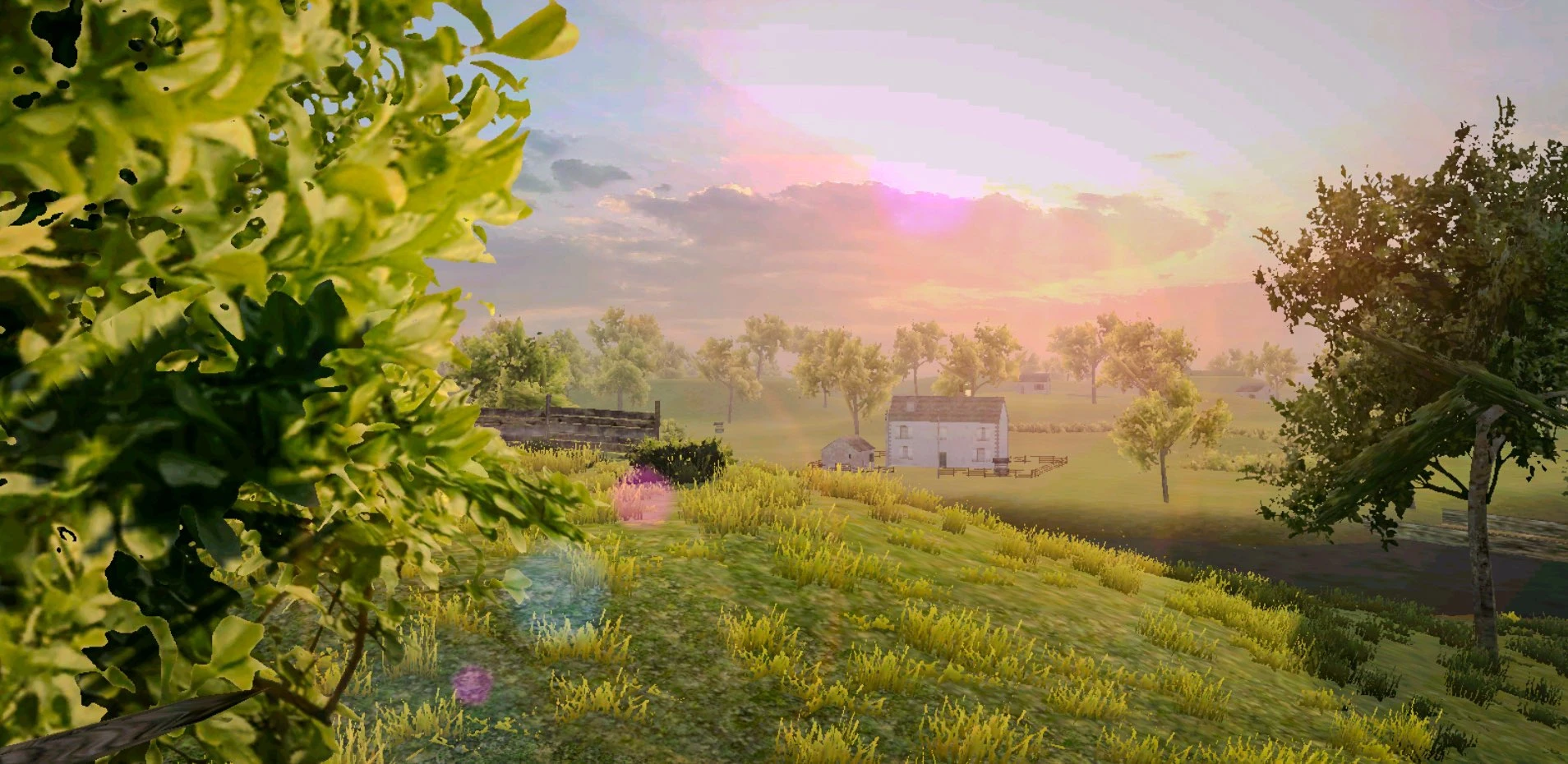 Polyfield background